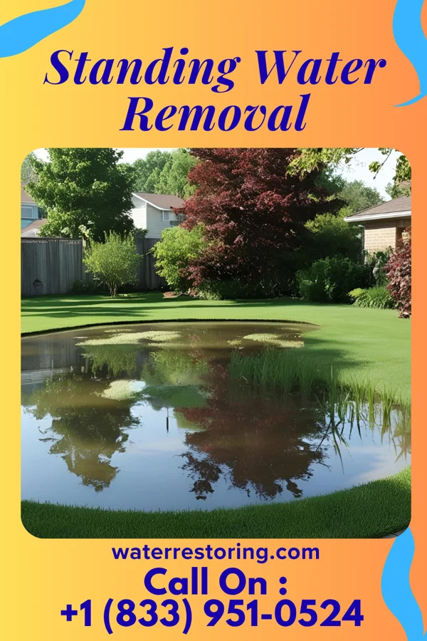 Standing Water Removal in Parker, CO
